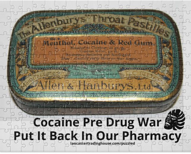 End the Drug War Puzzles showing cocaine tin