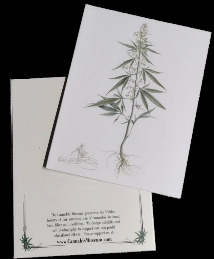 Image of hemp fiber on a note card with an envelope