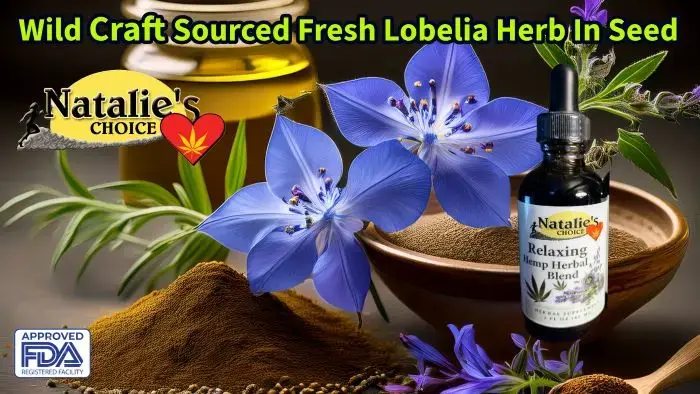 Blog Post 'Lobelia Flower Benefits' cover image.webp
