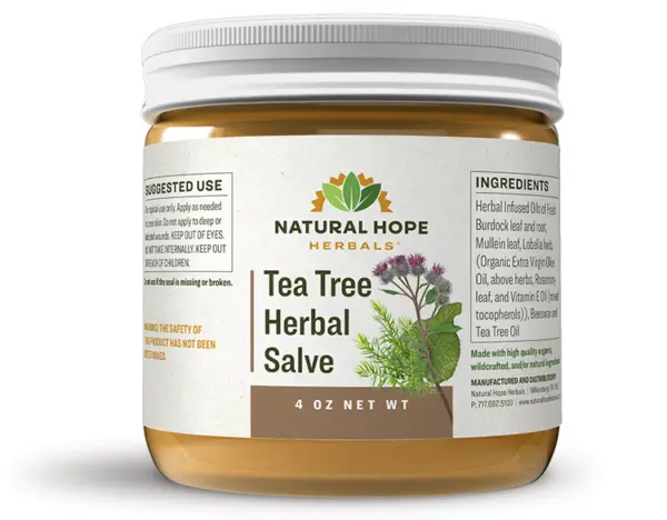Tea Tree Herbal Salve (Melaleuca alternifolia) 1oz